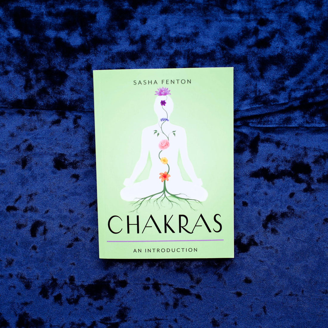 Chakras: Your Plain & Simple Guide to the 7 Energy Centers- Red Wheel/Weiser LLC -