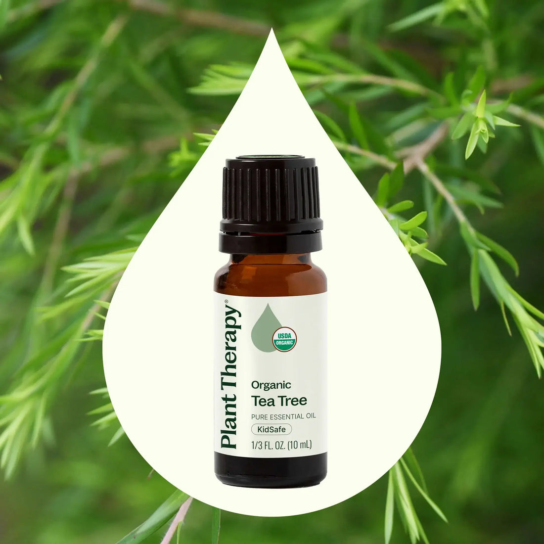 Plant Therapy - Organic Tea Tree Essential Oil 10 mL