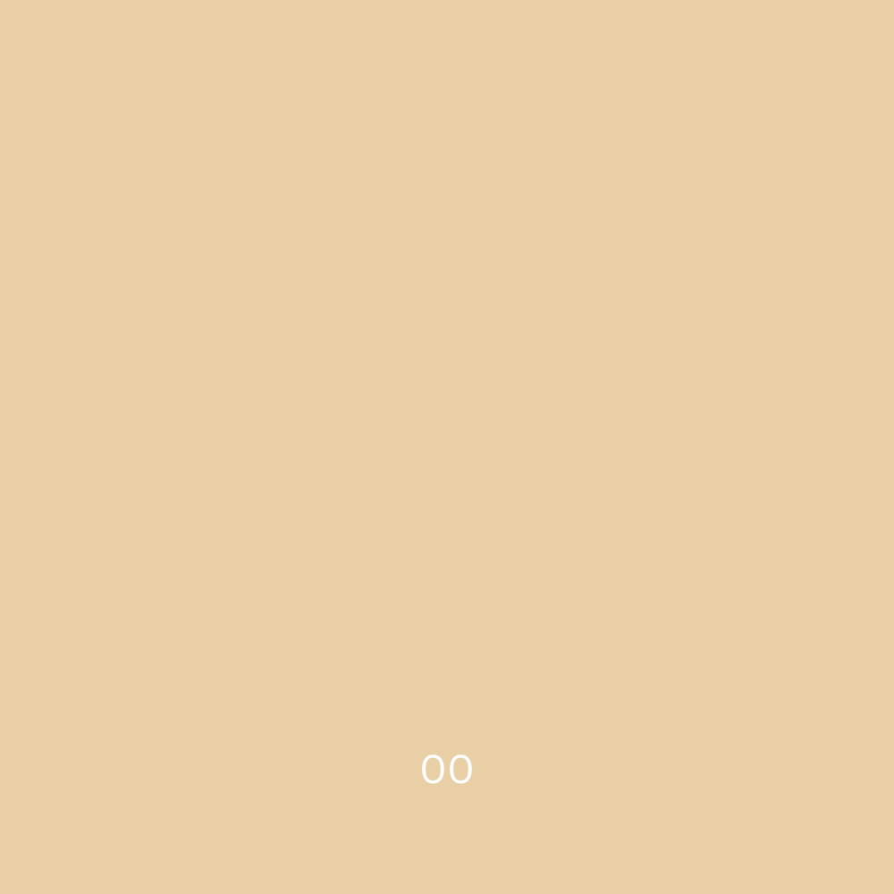 River Organics - Zero Waste Concealer | 00 Pale
