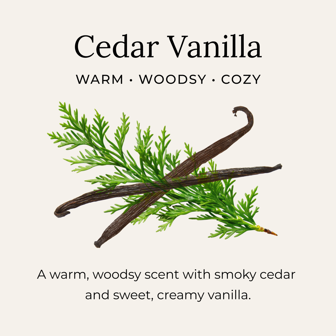 Little Seed Farm - Cedar Vanilla Deodorant Cream