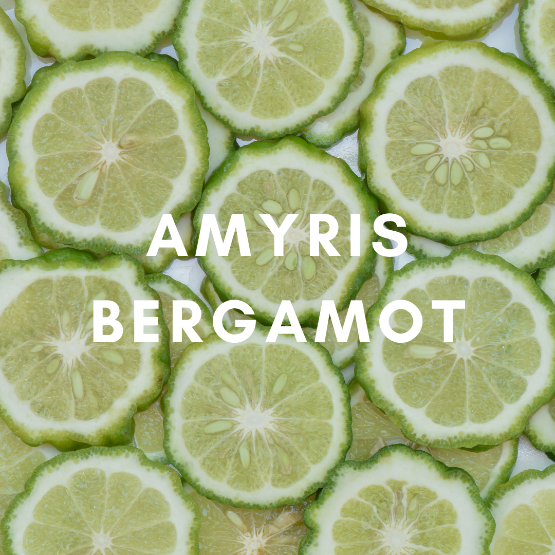 SunLeaf Naturals - 3 oz Reed Diffuser - Amyris Bergamot