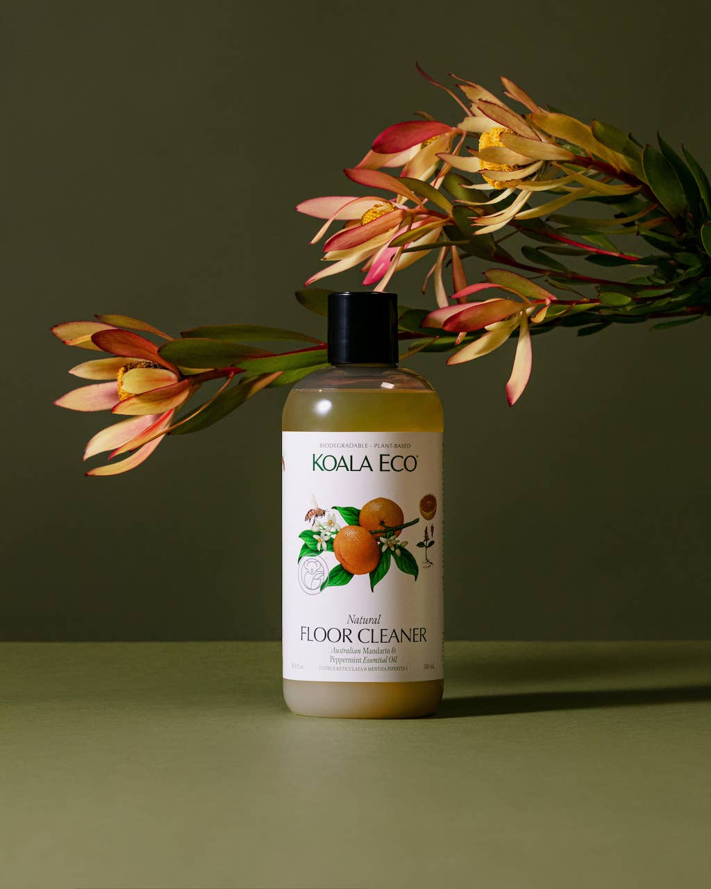 Koala Eco - Mandarin & Peppermint Floor Cleaner