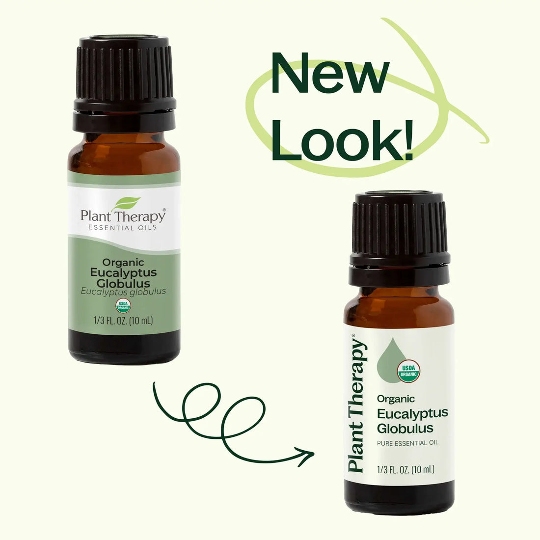 Plant Therapy - Organic Eucalyptus Globulus Essential Oil 10 mL