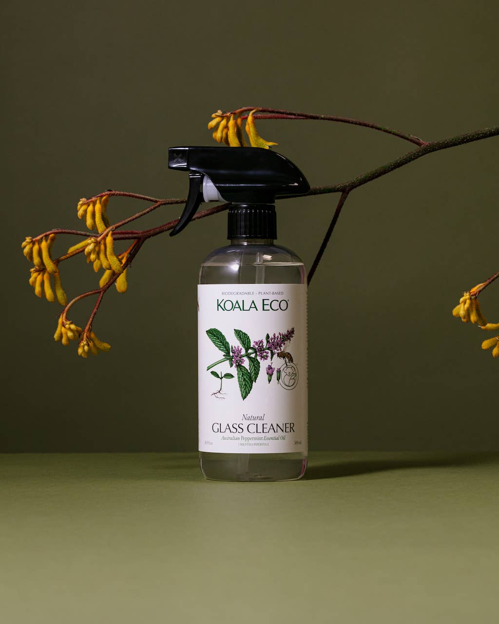 Koala Eco - Peppermint Glass Cleaner
