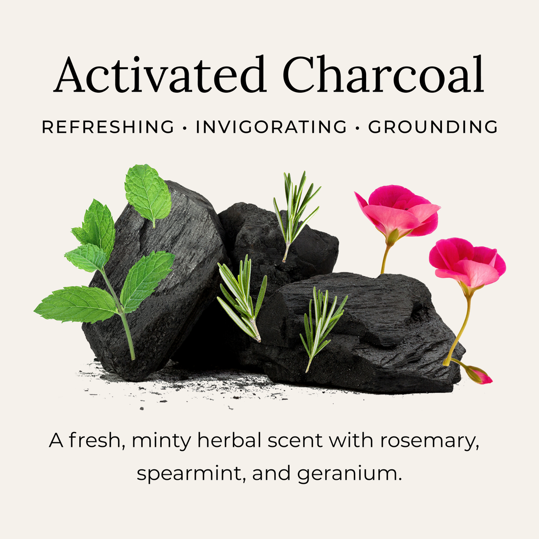 Little Seed Farm - Activated Charcoal Deodorant Cream