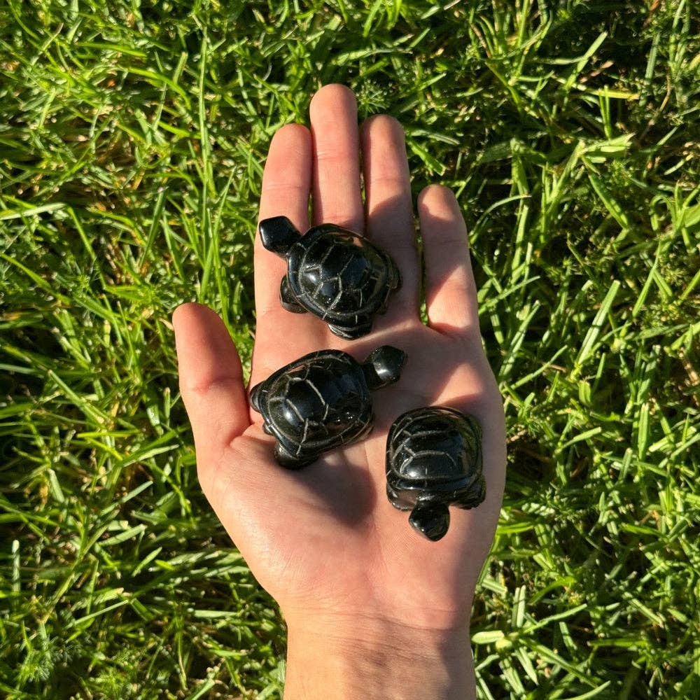 Crystal Turtle - Black Onyx